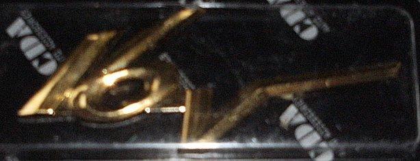 16V Emblem GOLD (pair)