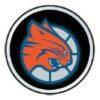 Charlotte Bobcats Color Auto Emblem