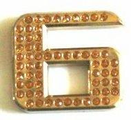 Crystal Chrome Numbers GOLD - 6