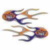 Phoenix Suns Domed Flame Decals