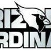 Arizona Cardinals Chrome Emblem