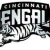 Cincinnati Bengals Chrome Emblem